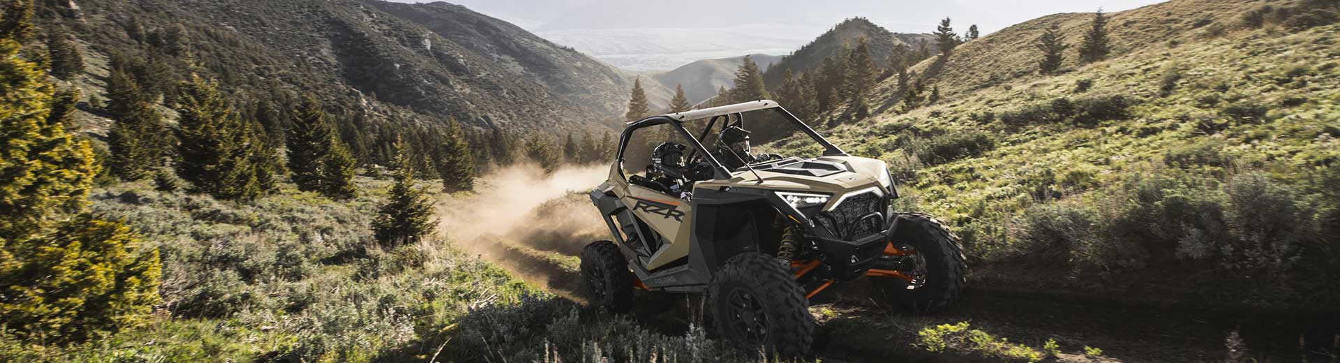 RZR hero